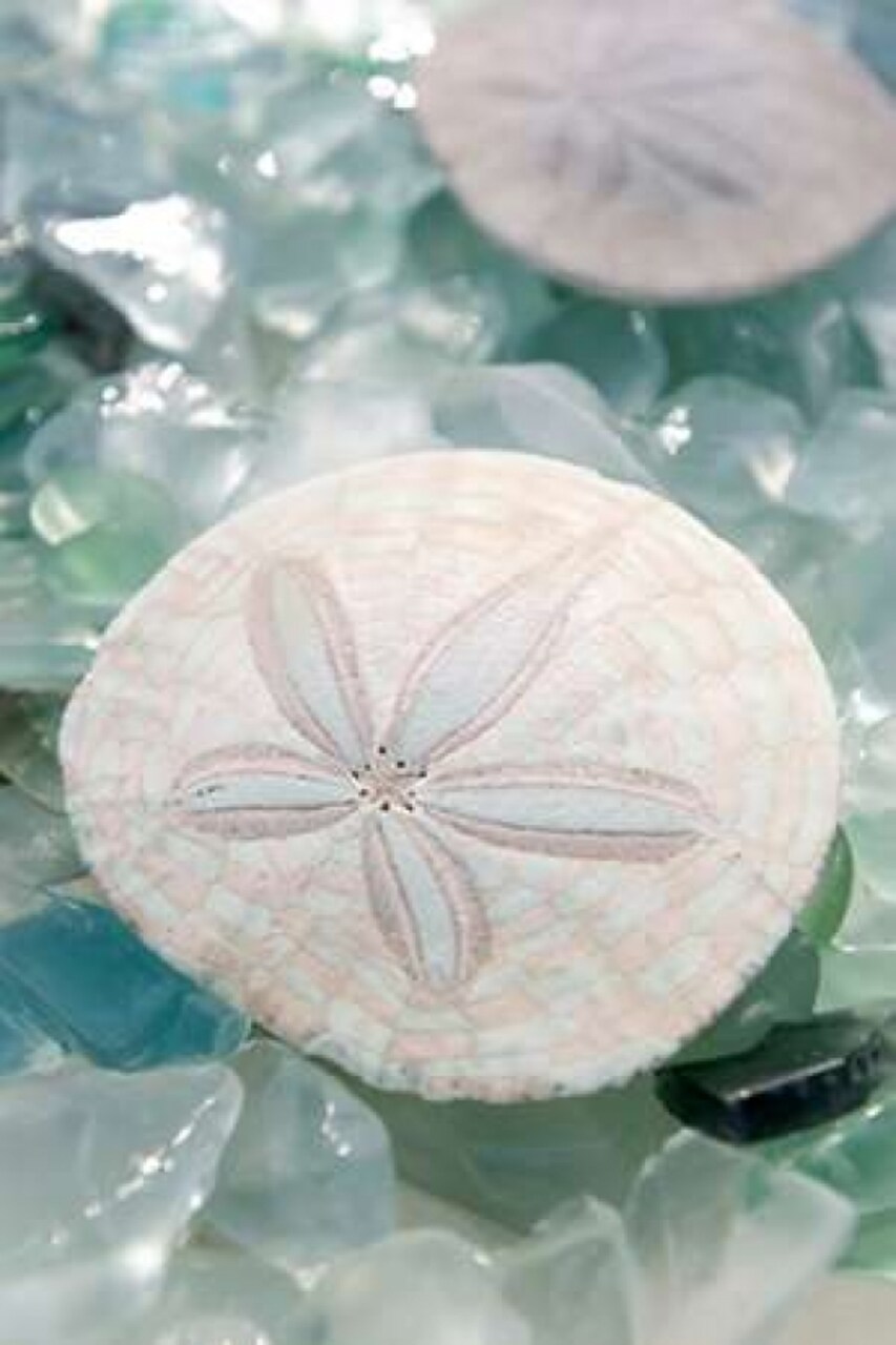 Crystal Cove - 29 Poster Print by Alan Blaustein - Item # VARPDXABSHC26